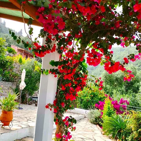 Fior Di Corfu カラミ